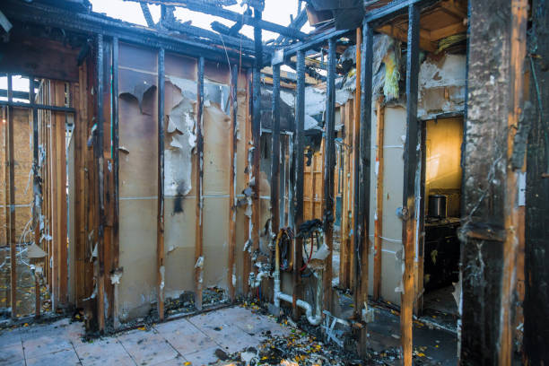 Professional Fire Damage Removal technician working in Saint James City, FL