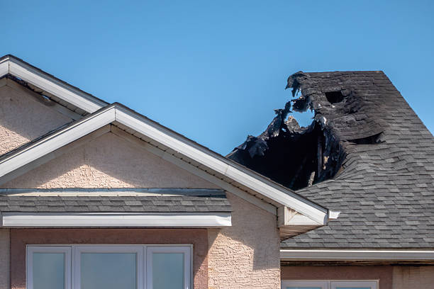 Top rated local Fire Damage Removal specialists in Saint James City, FL